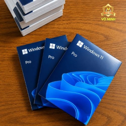 windows-1011-homepro-ban-quyen-fpp-usb-fullbox-chinh-hang