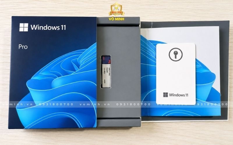 windows-1011-homepro-ban-quyen-fpp-usb-fullbox-chinh-hang Windows-11-Home-Pro-FPP-USB-Fullbox